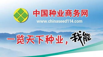 中國種業(yè)商務(wù)網(wǎng) 種子包裝二維碼系統(tǒng) 請(qǐng)您驗(yàn)收