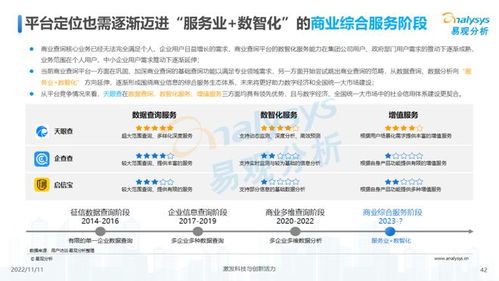透視用戶需求深挖服務(wù)潛力 2022中國(guó)商業(yè)查詢行業(yè)洞察
