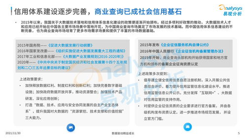 中國(guó)商業(yè)查詢市場(chǎng)分析2021