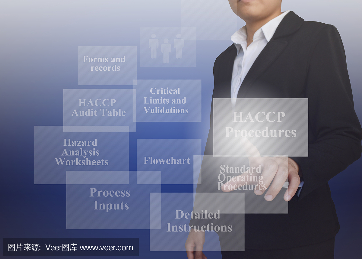具有HACCP程序演示元素的女商人。