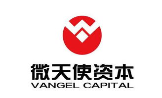 青島微天使商務信息咨詢管理企業 有限合伙 招聘信息 拉勾網